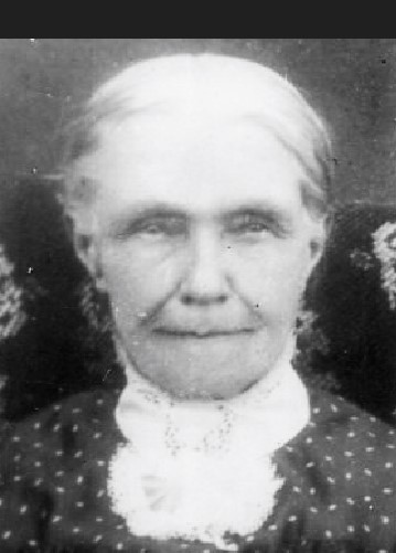 Martha Patty Newberry (1832 - 1917) Profile